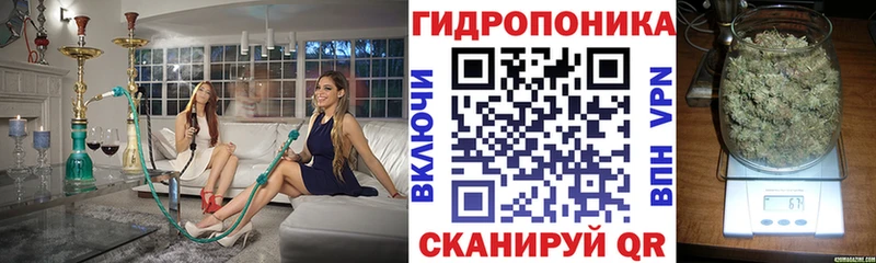 Где купить наркотики Тара АМФЕТАМИН  МЕТАМФЕТАМИН  ГАШИШ  Alpha PVP  Меф  МАРИХУАНА  КОКАИН 