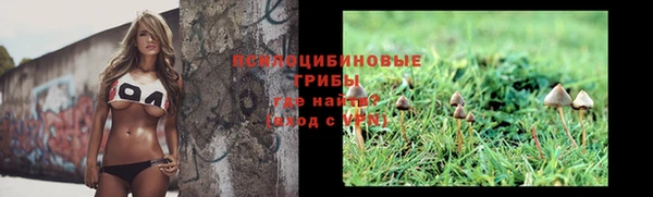 ГАЛЛЮЦИНОГЕННЫЕ ГРИБЫ Алексеевка