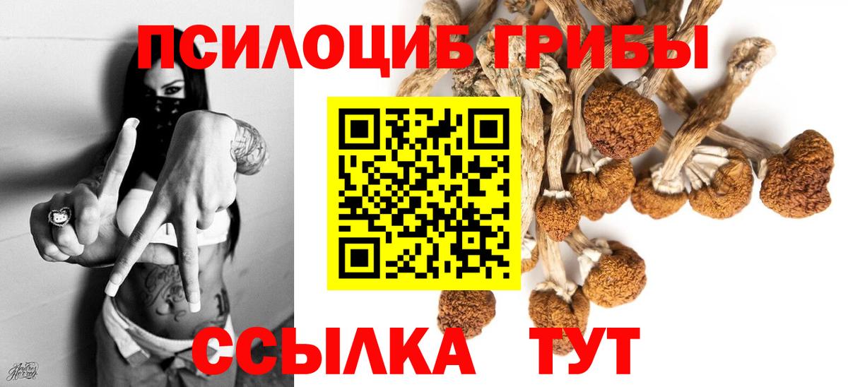 Псилоцибиновые грибы GOLDEN TEACHER Тара